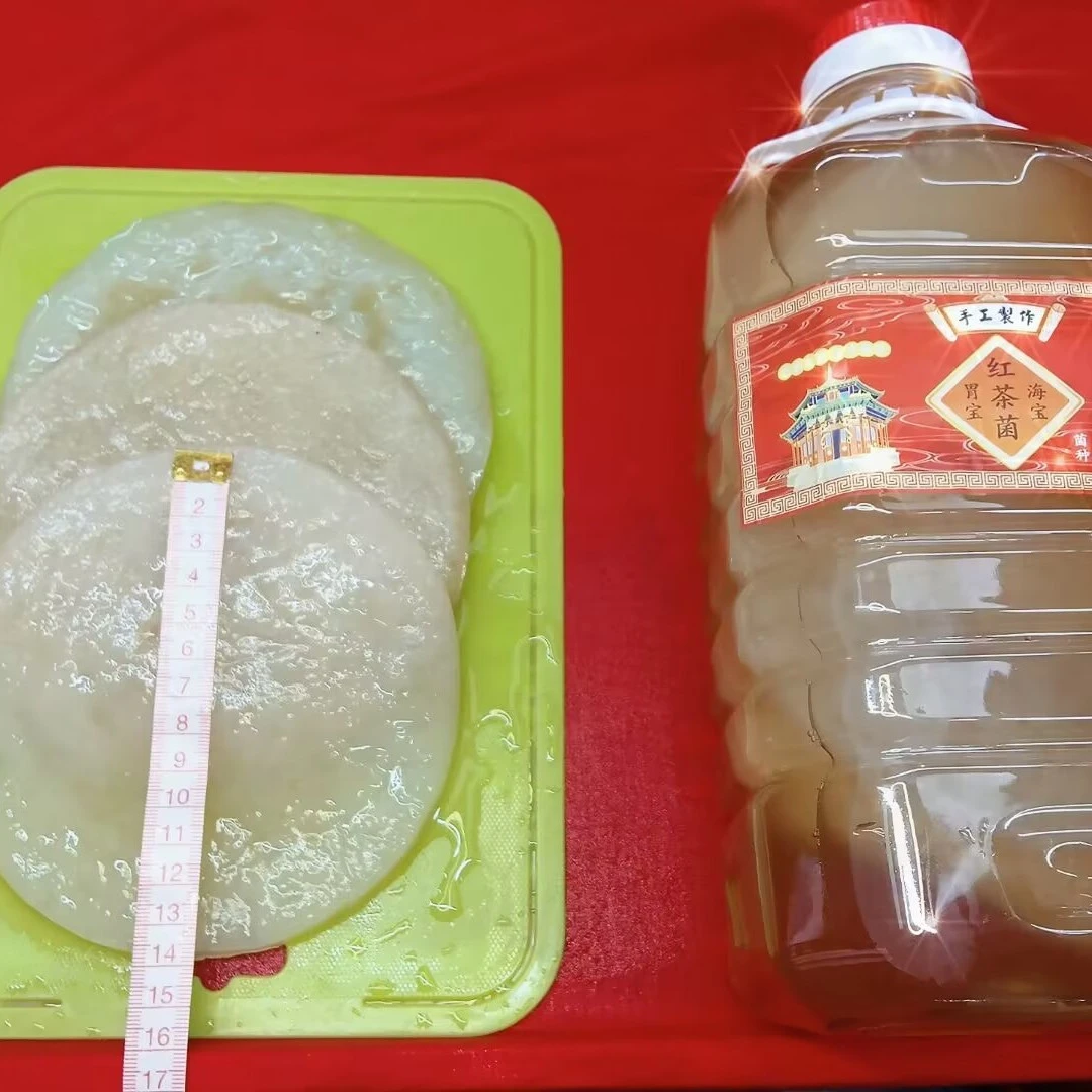 实惠家庭款4片装海宝红茶菌醋娥子