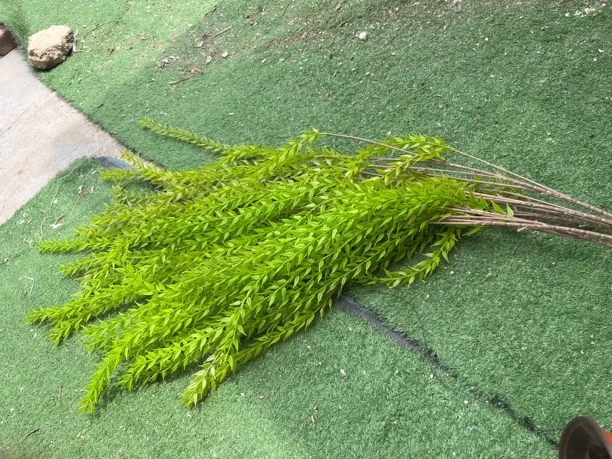 绿色垂草婚庆装饰家庭壁挂森系风格