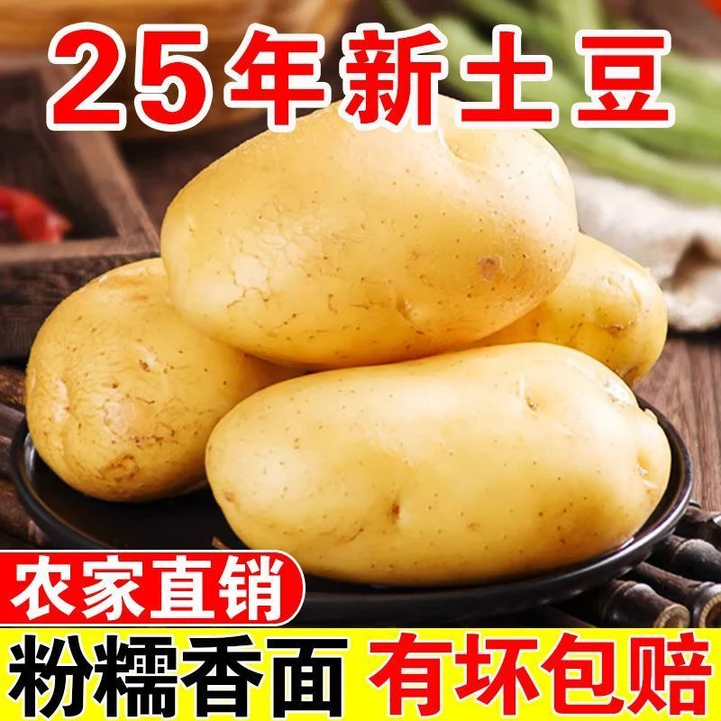 2025新鲜现挖黄皮黄心土豆软糯香甜当季蔬菜马铃薯