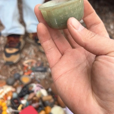 杂色豆（科檀/科特迪瓦檀木）疯*®