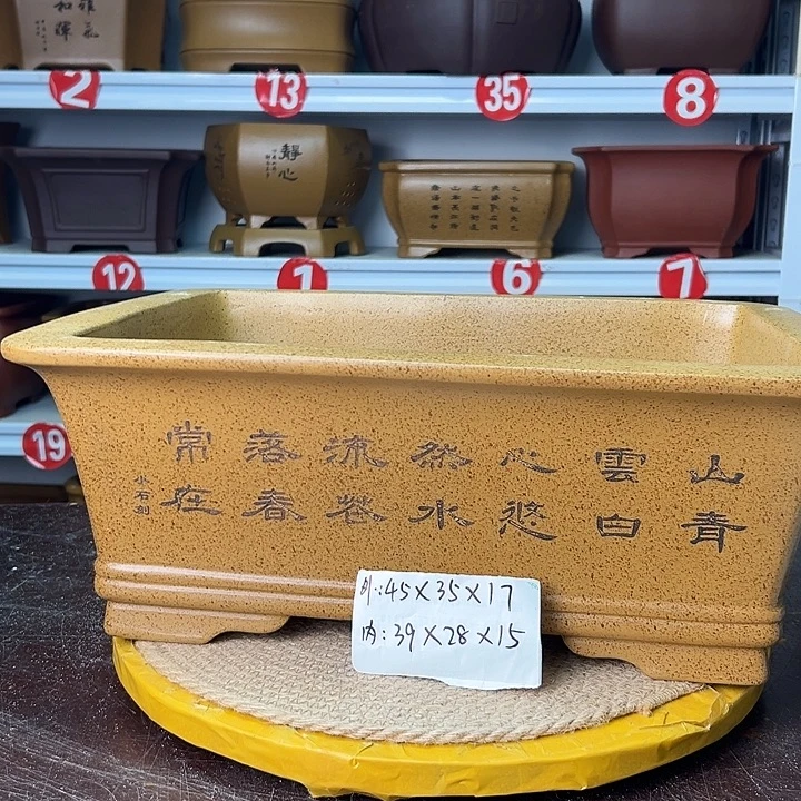 紫砂花盆你在一起