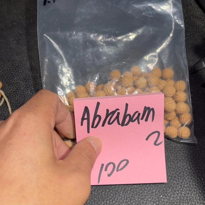 A***落桃核吊坠野生小核桃2