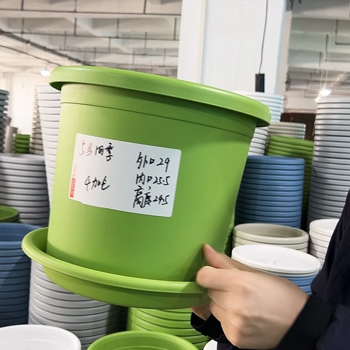 特价5号四季口29高24.5果绿带托6只