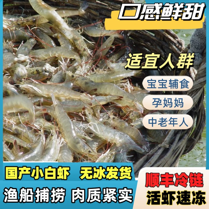 国产海捕小白虾  顺丰冷链 到手6斤共3包80-120条/斤 嫌小勿拍