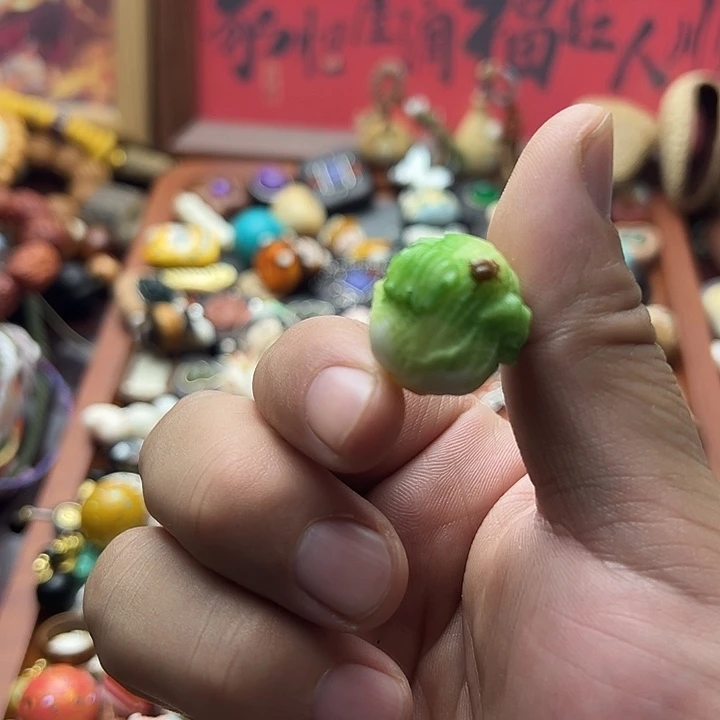 非金属象牙果白菜