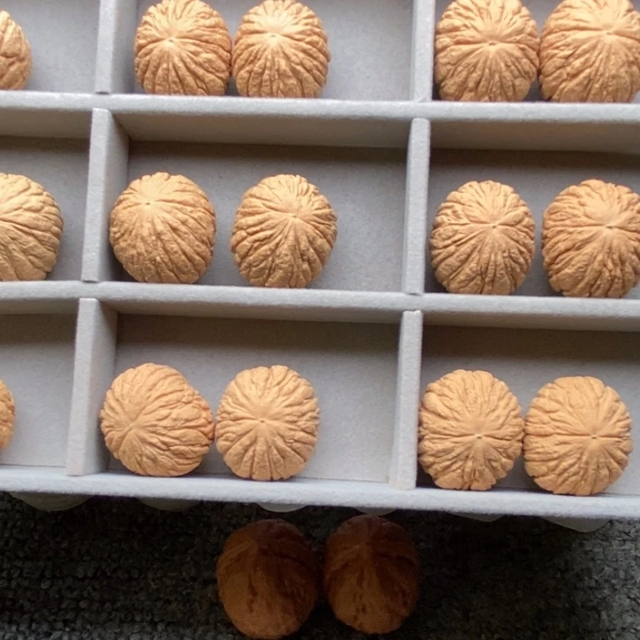 文玩核桃把件猴头元宝