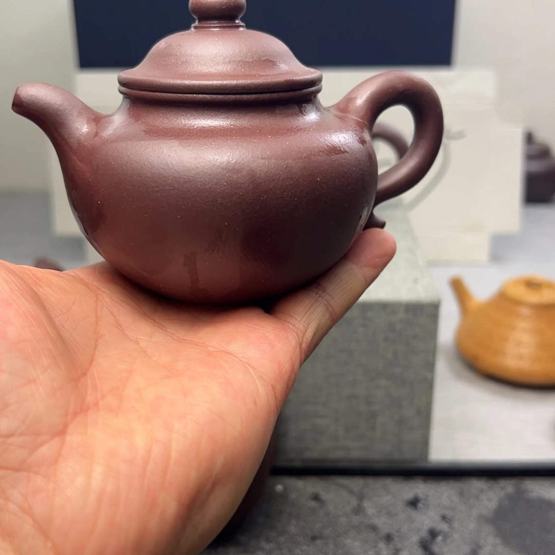 紫砂壶黄龙山紫泥240cc