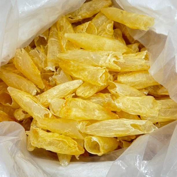 65头精选天然咸水黄花胶足干可煲汤滋补营养