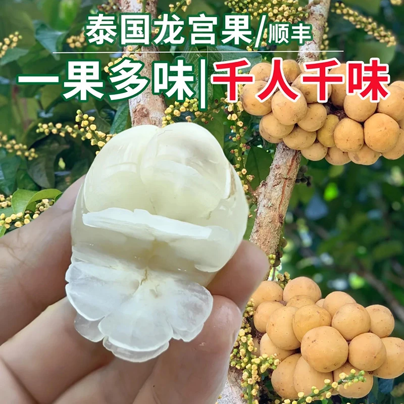 盛园祥龙宫果泰国进口龙宫果顺丰空运果香果甜世界稀奇古怪水果