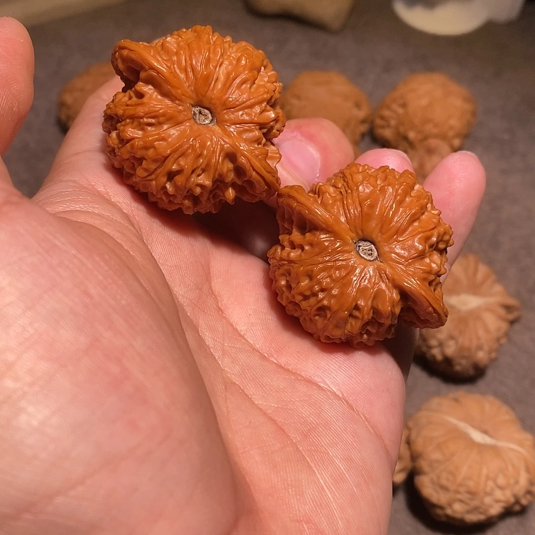 泽****核桃手串/手链43全品血麒麟