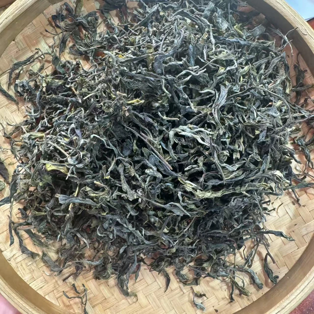 【小刚家的茶】7-5【LC255】2025年邦东三棵树混采单株（晒青毛茶）