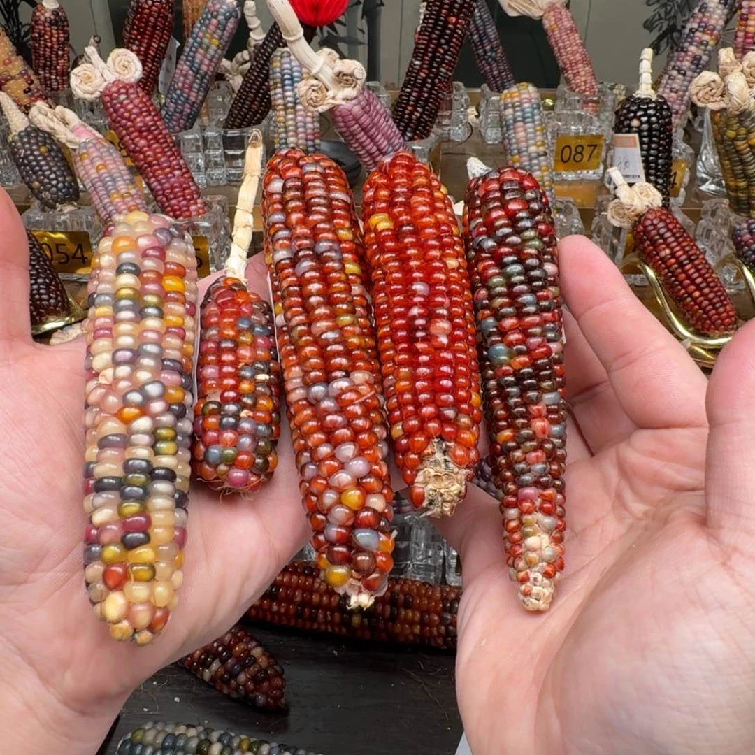 柏香籽/百香籽吊坠一****P