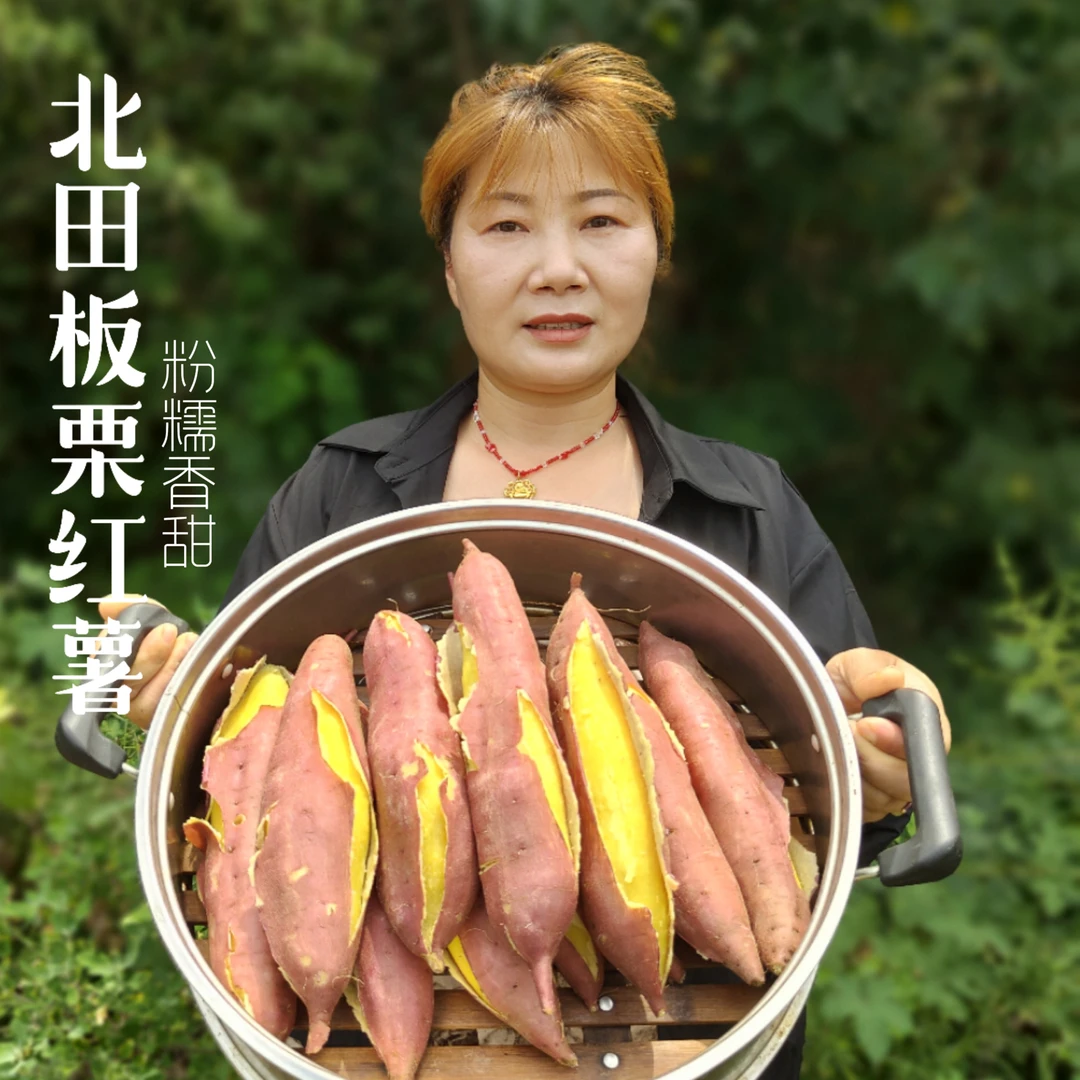 富茜秾板栗红薯北田特产