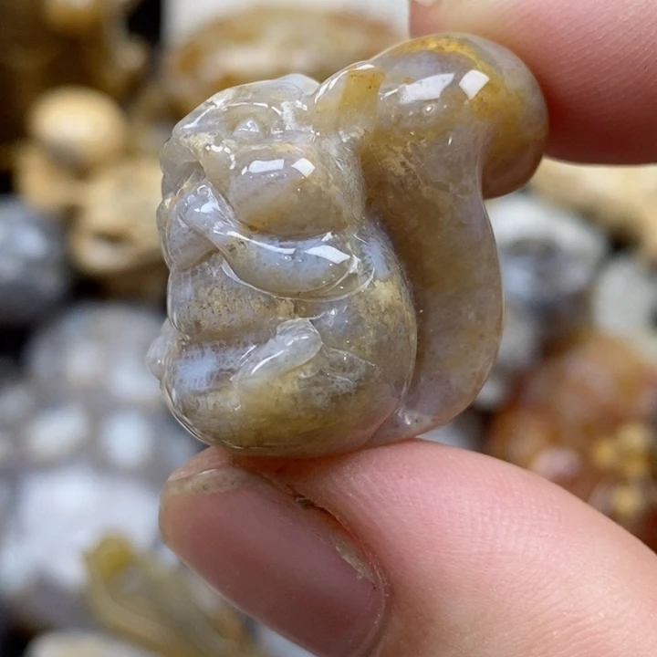 颈饰未镶嵌硅化珊瑚（珊瑚玉）小