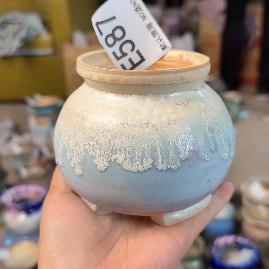 重庆小燕子欢迎大家587