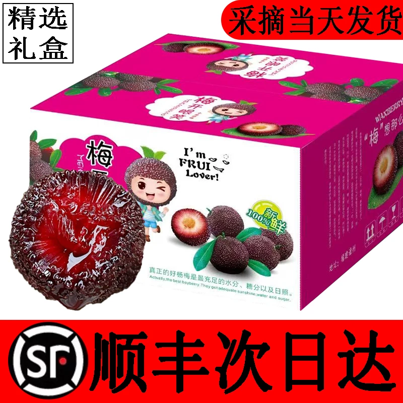 精选杨梅新鲜东魁顺丰空运鲜果孕妇水果颗粒礼盒装山荸荠甜杨梅