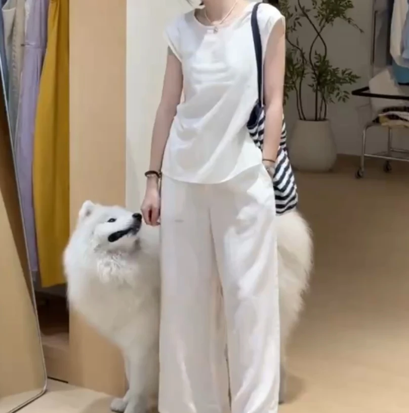 时尚潮流百搭精品女装zsx34362