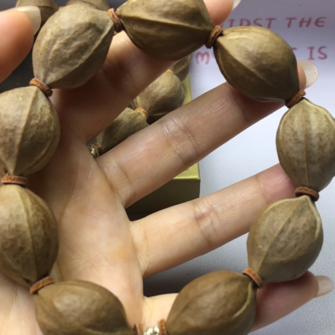 正宗梅林铁核老树老籽19.5×27