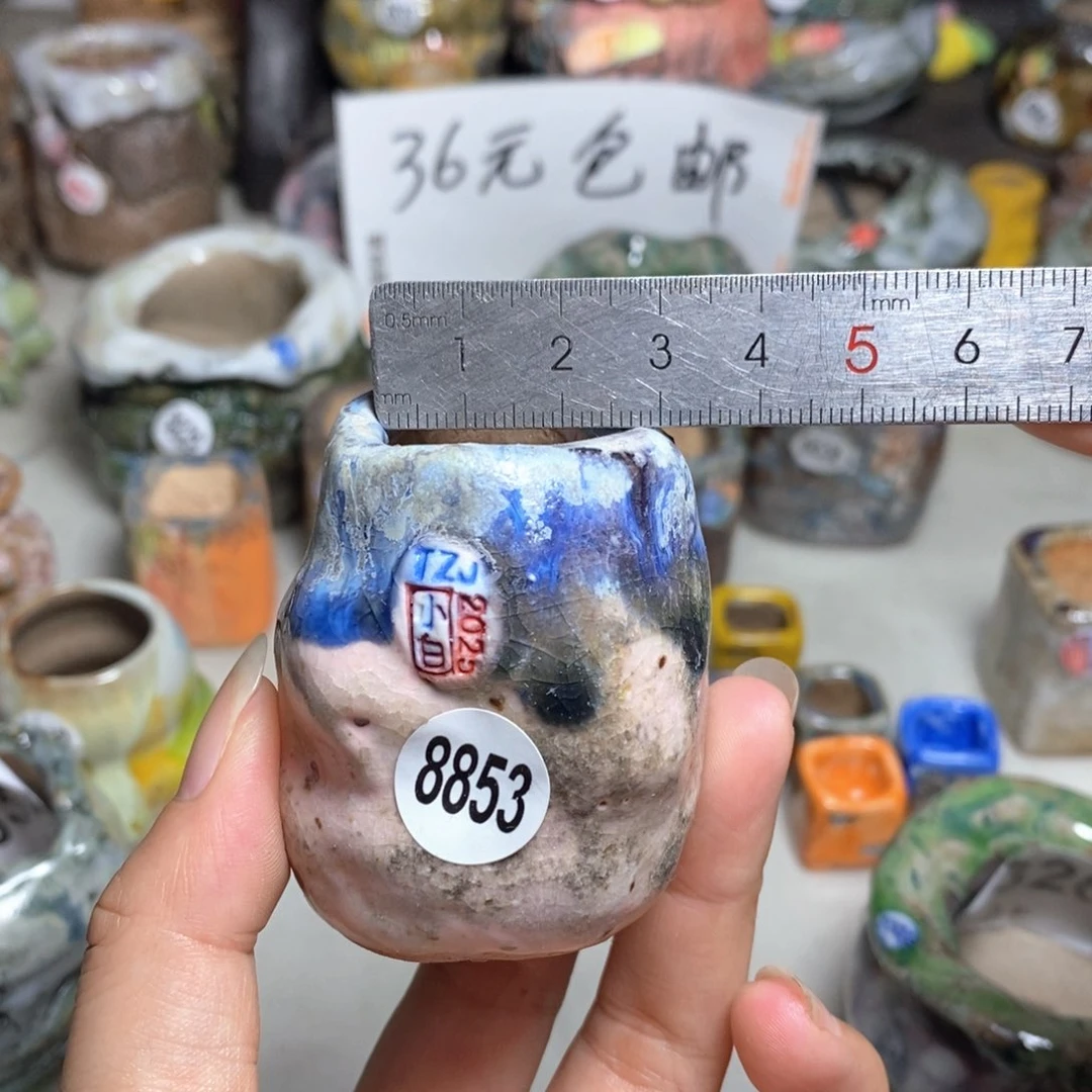 拍3送一个小礼物