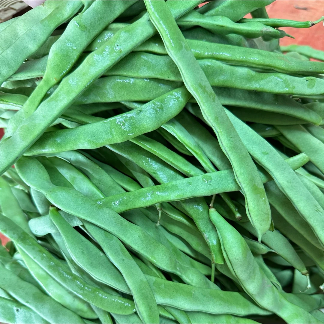 农家自种四季豆现摘豆角扁豆