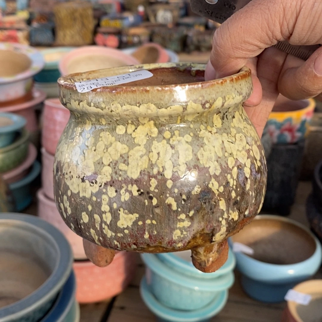 51号多肉盆口径7.5