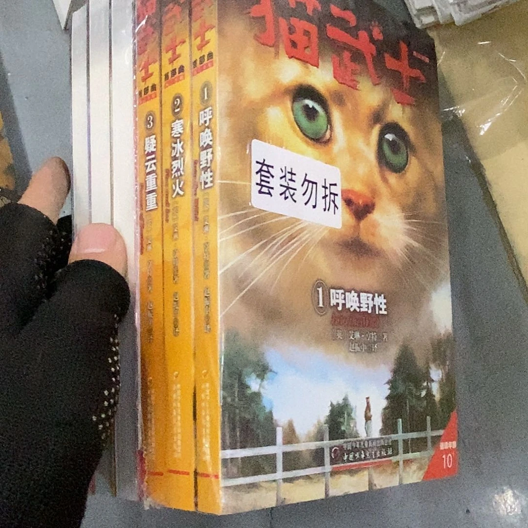 猫武士首部曲
