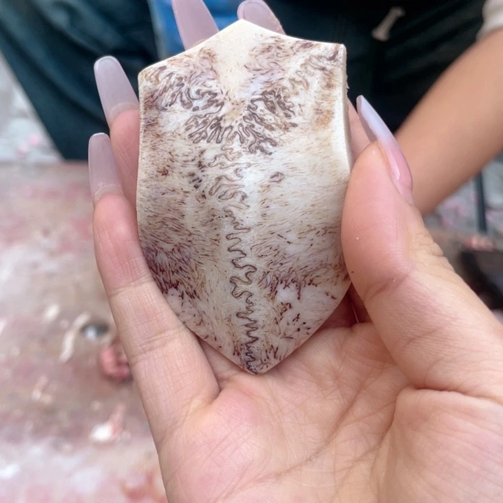 养殖鹿骨三界牌子