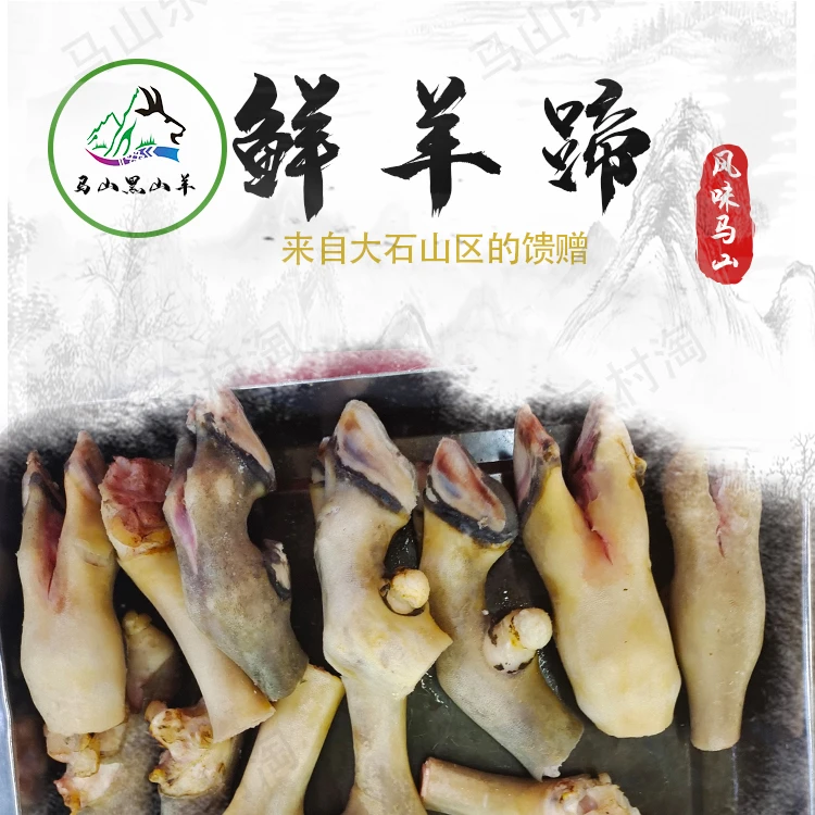 广西马山黑山羊羊蹄优选散养黑山羊新鲜屠宰带筋生羊蹄速冻发顺丰