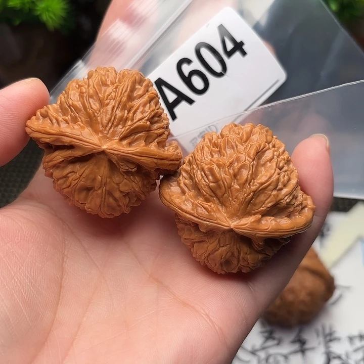 华***哥把件桃核核桃白狮子42