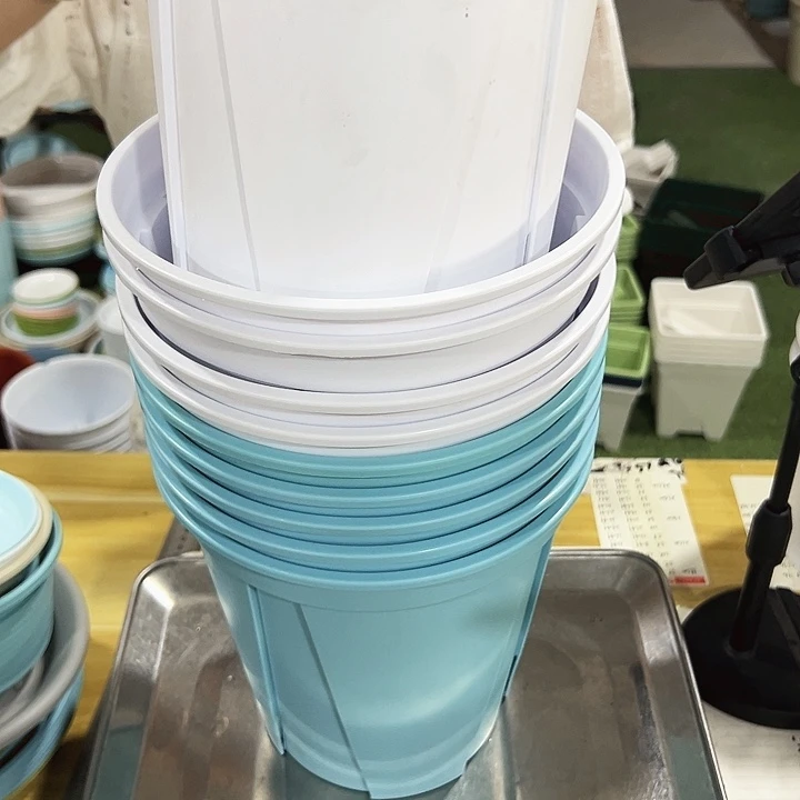 特价青山口21高21混色无托10只