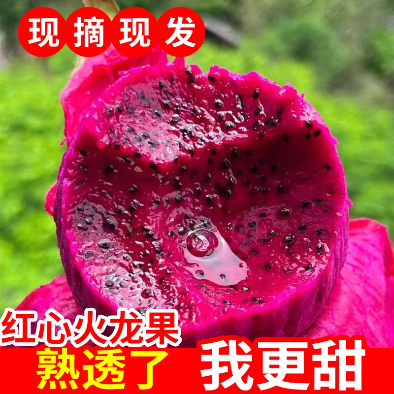 海南金都一号红心火龙果应季新鲜水果整箱包邮