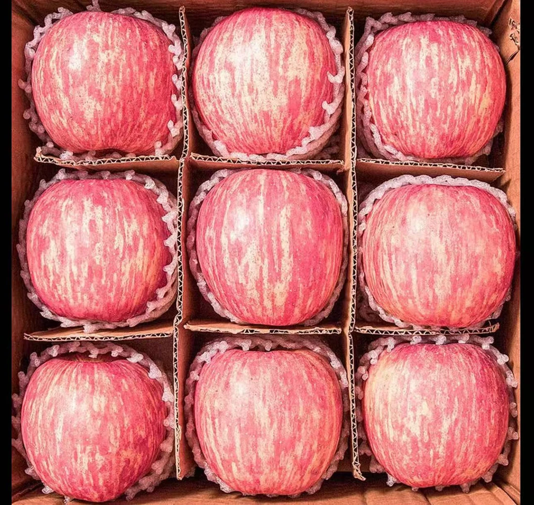 正宗陕西洛川红富士苹果脆甜多汁产地直发新鲜水果5斤