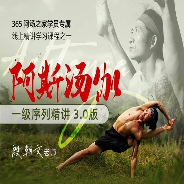 阿斯汤伽瑜伽精讲 3.0