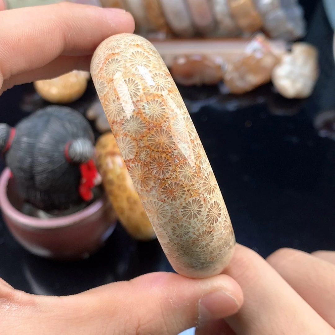 【闪购商品】硅化珊瑚（珊瑚玉）未镶嵌颈饰12号58圈