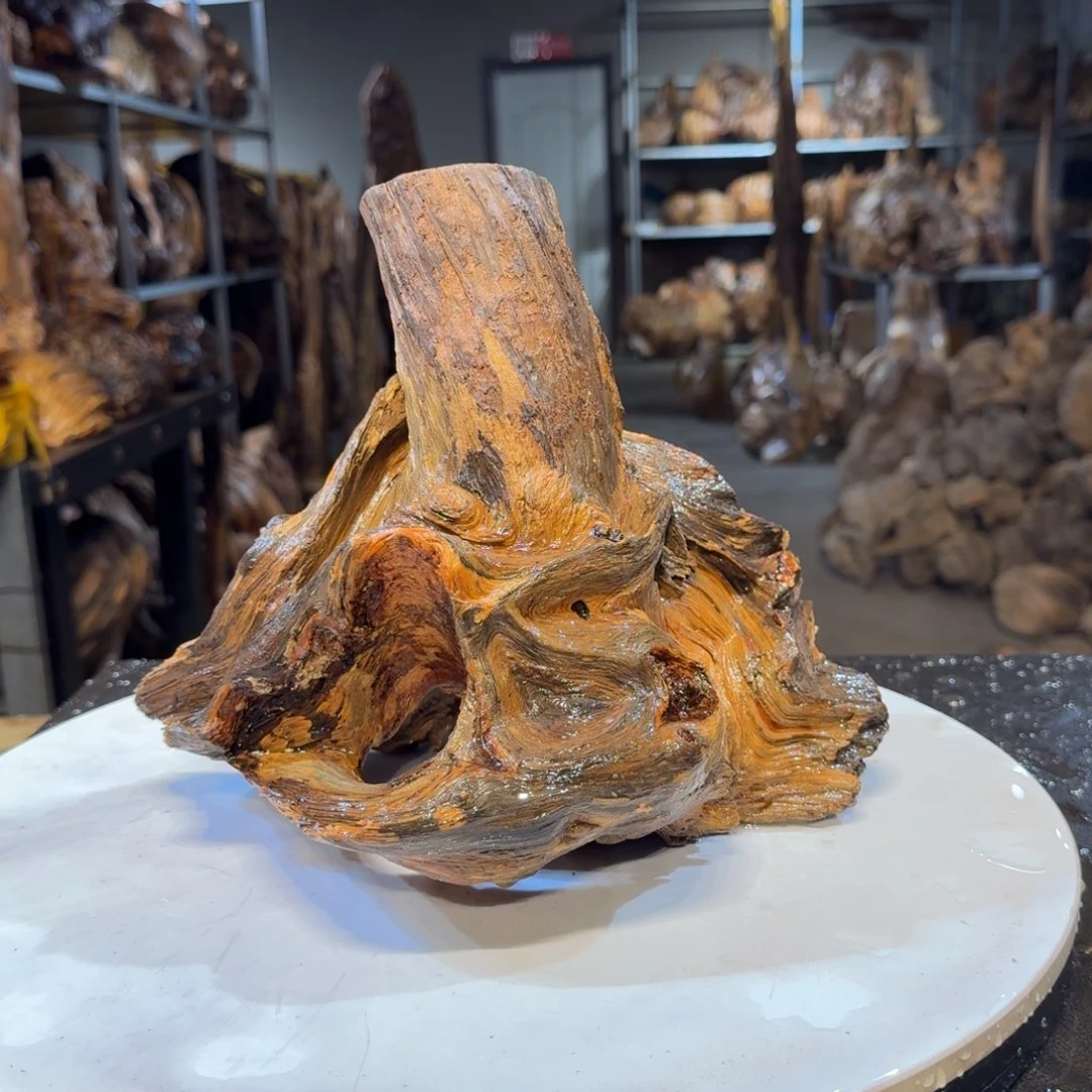 木一*醉王一刀琥珀木46