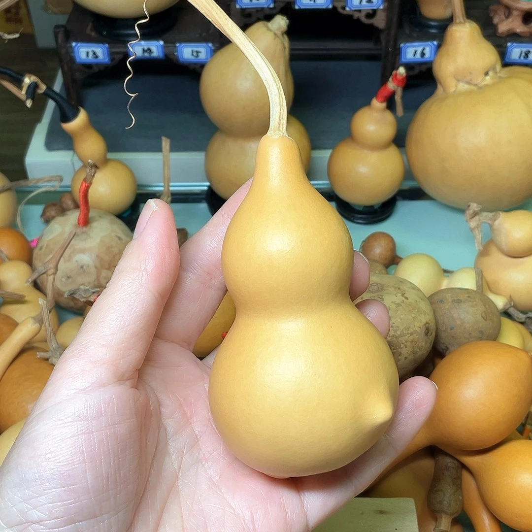 B****?瓷皮响籽手把财包本捻