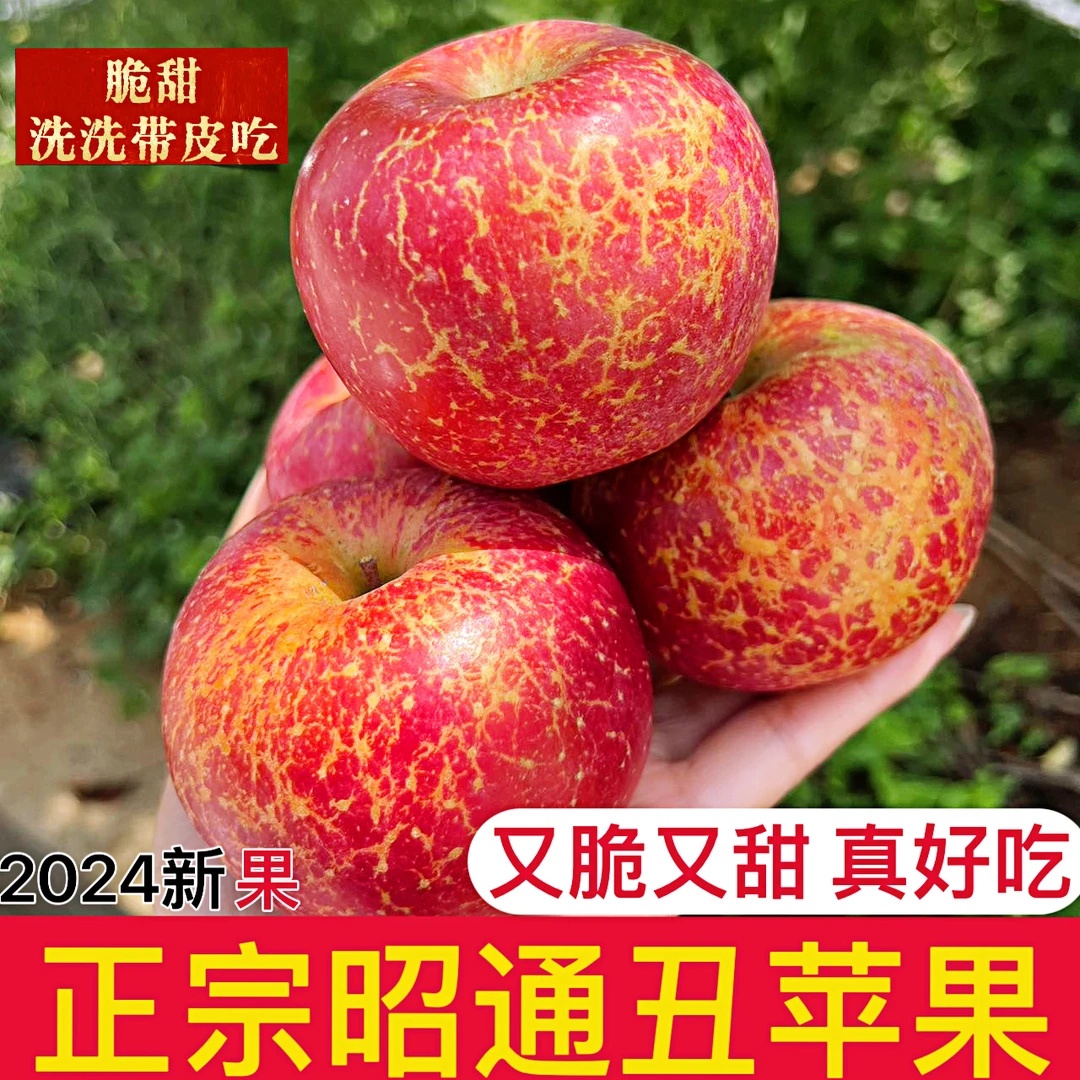 云南昭通冰糖心丑苹果红富士现摘新鲜脆甜水果脆甜包邮