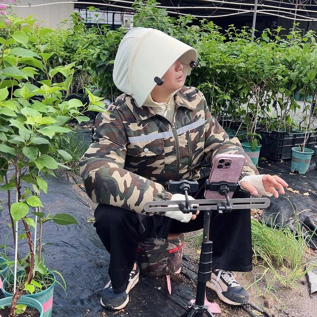 当前无花栽培后可以开花钵钵鸡一元