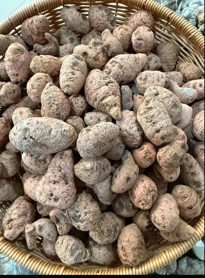 邱正新农人-冰魄雪三七