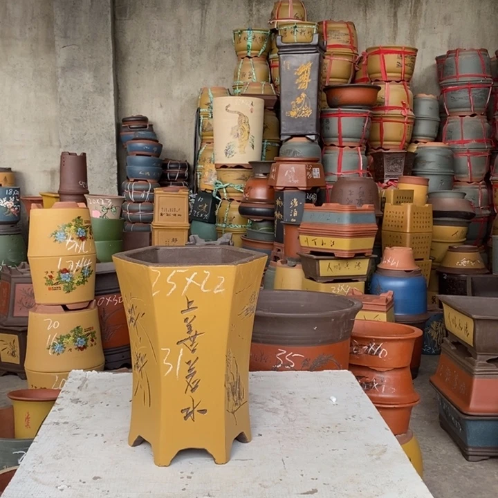 紫砂花盆盆栽花卉苗木种植