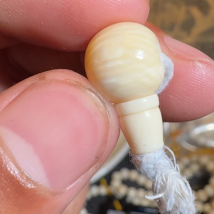 舒***）菩提根/象牙果吊坠