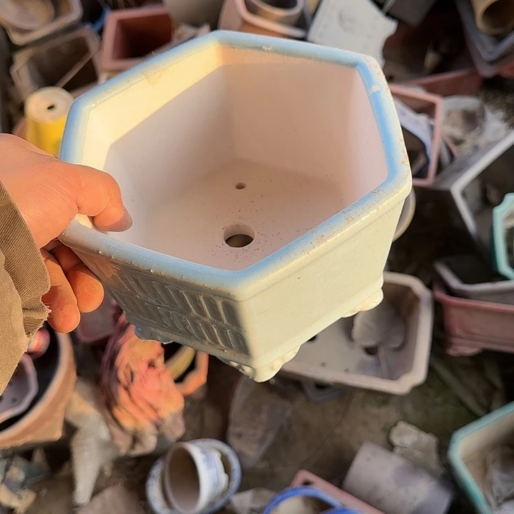 在这里可以说我们可以一起分享一些生活和日常吗