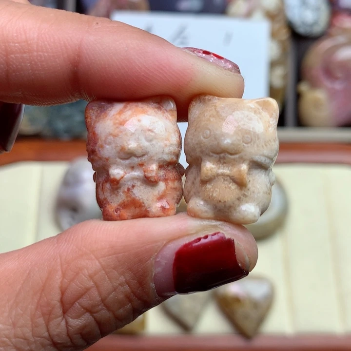 硅化珊瑚（珊瑚玉）颈饰未镶嵌