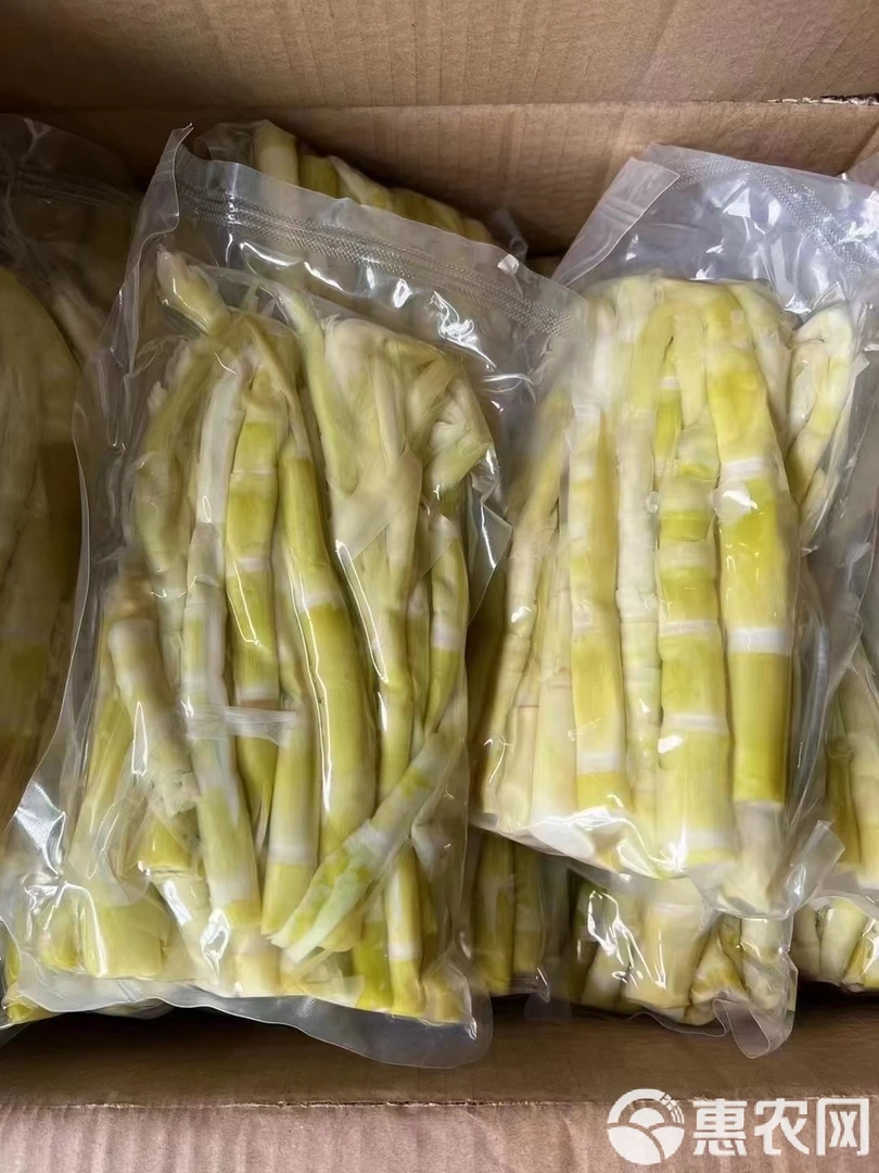 贵州高山新鲜采摘野生小竹笋