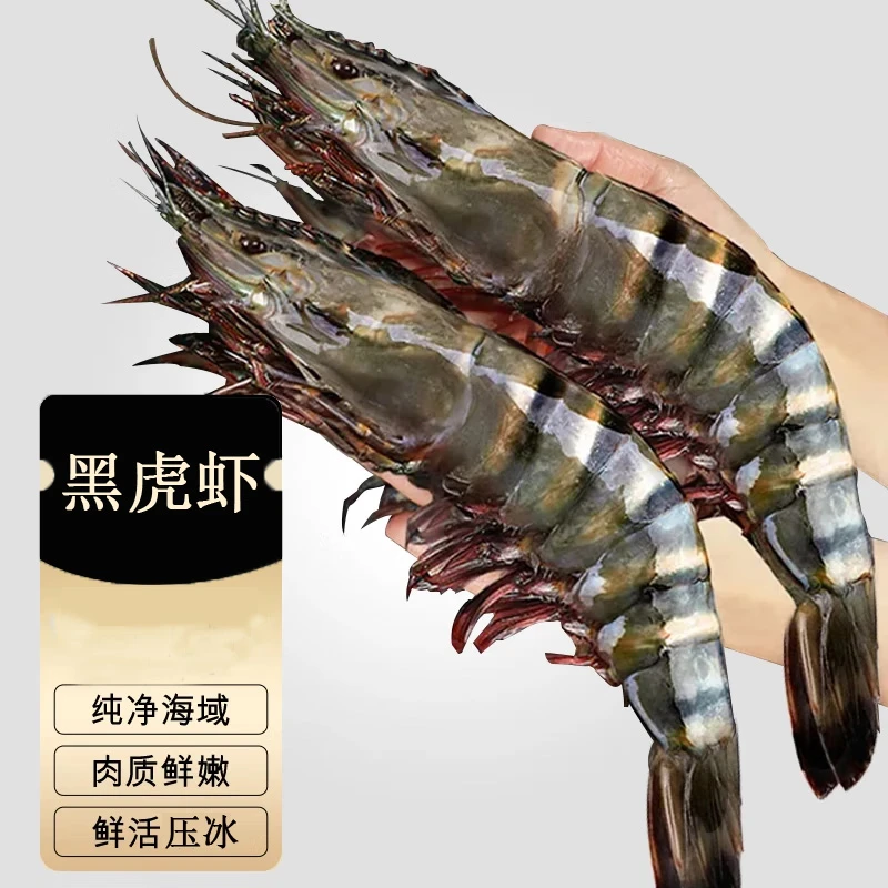 鲜活压冰大黑虎虾肉质鲜嫩口感劲道【保鲜不保活】