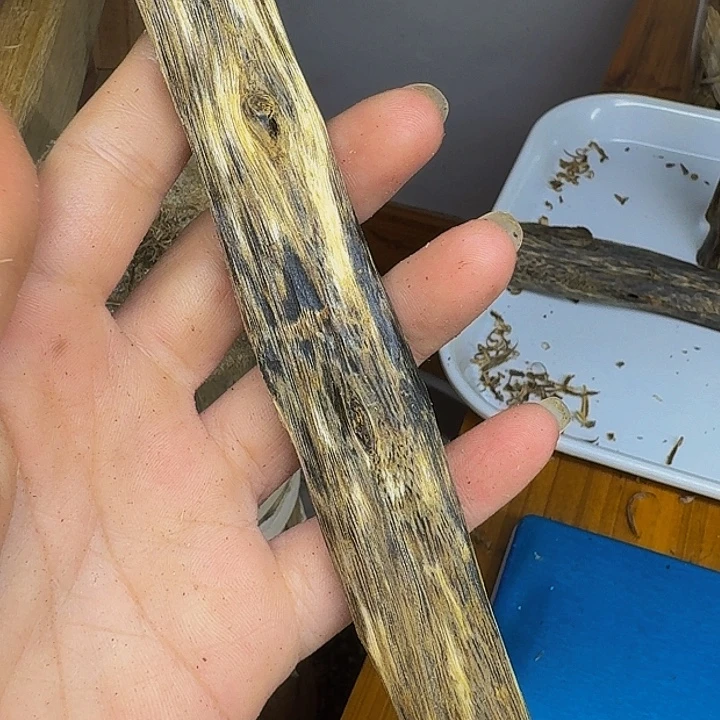了***凡沉香碎屑沉香木49克