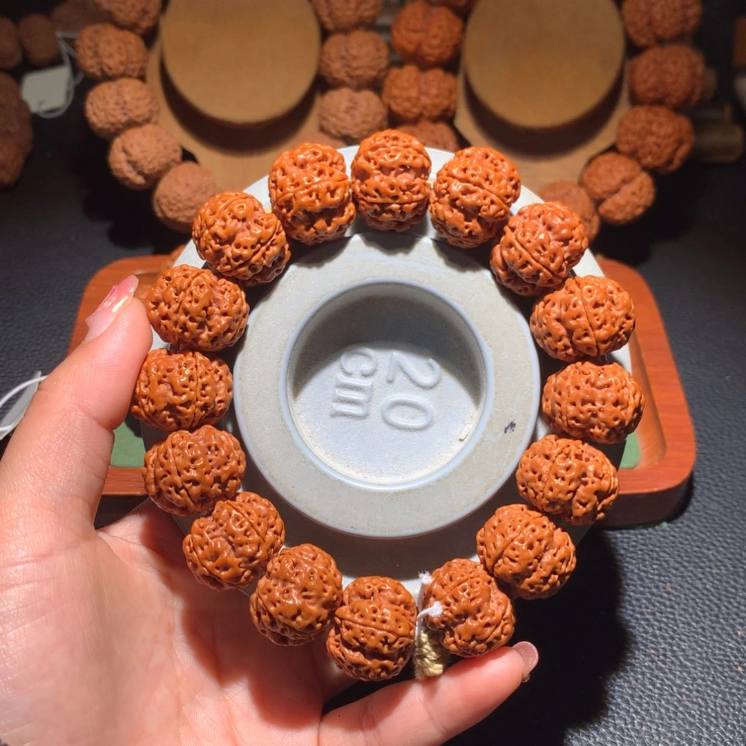 手串金刚菩提21尺寸龙爪