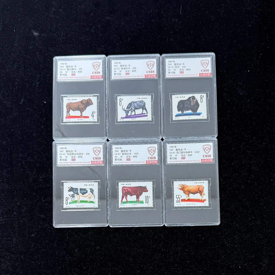 1981年 T63 畜牧业-牛 90OS 影写板 信泰评级