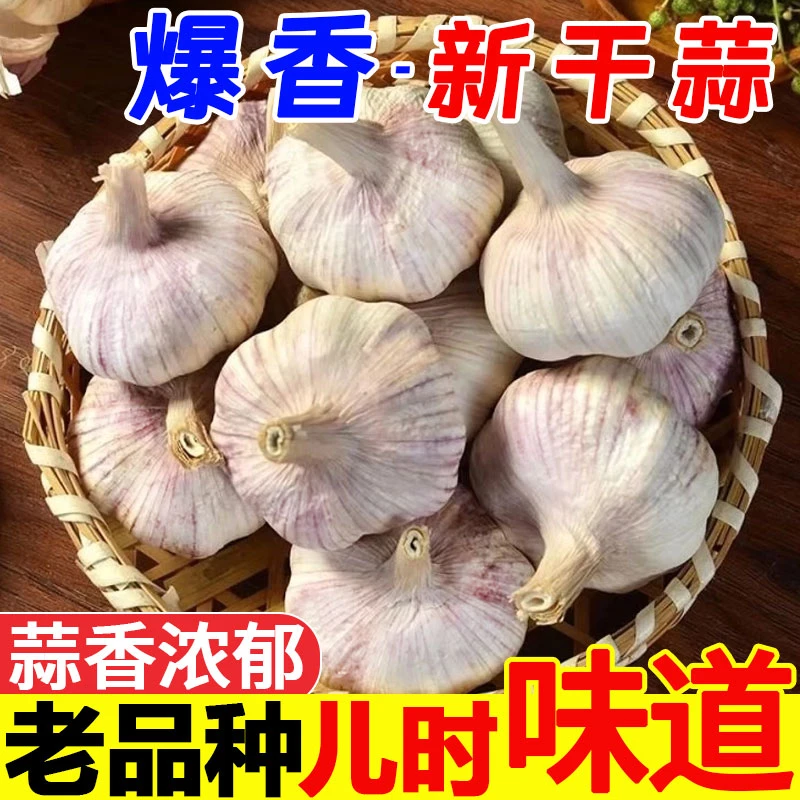 今年新干蒜大蒜紫白皮农家自种紫白皮干大蒜头新鲜