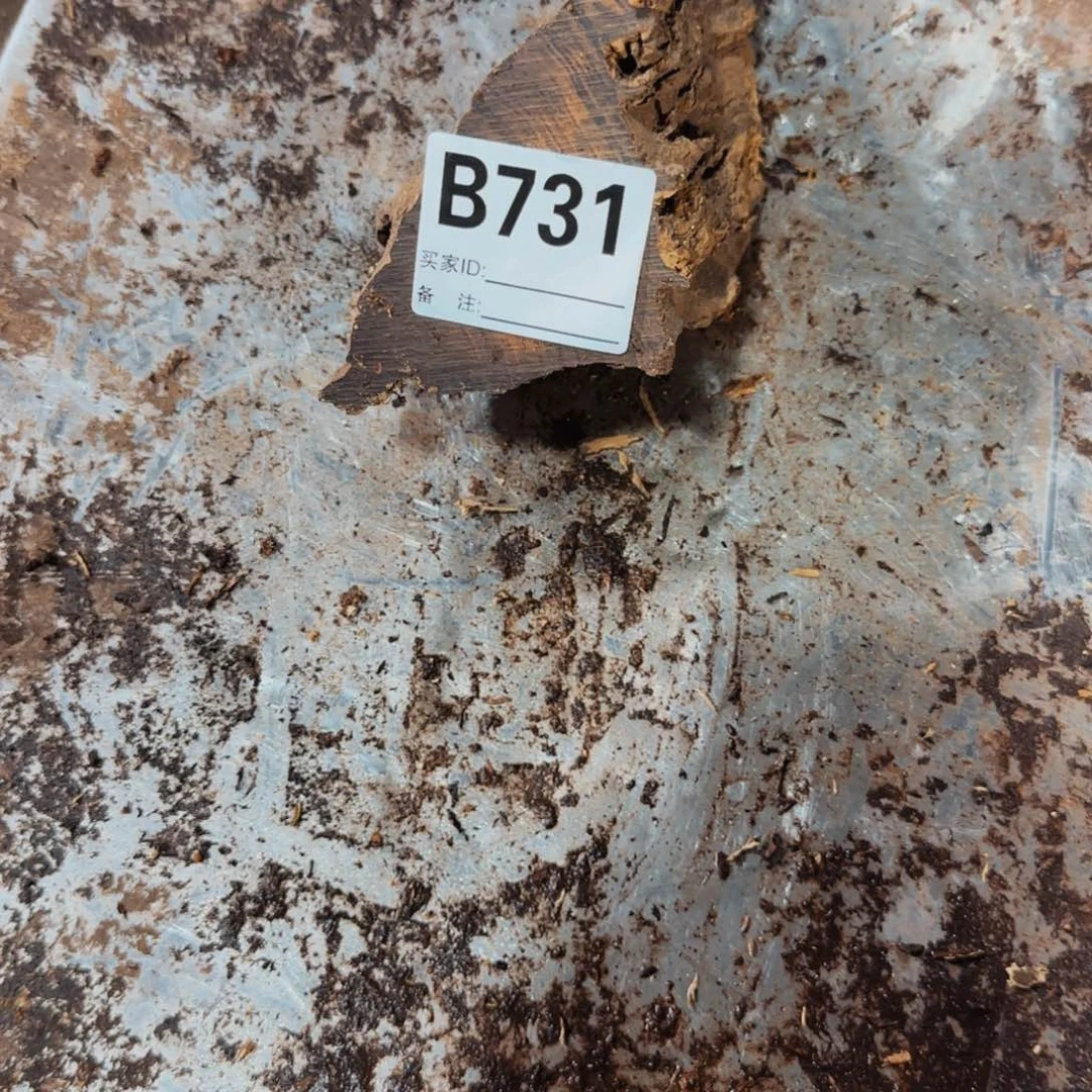 东非黑黄檀（紫光檀）731